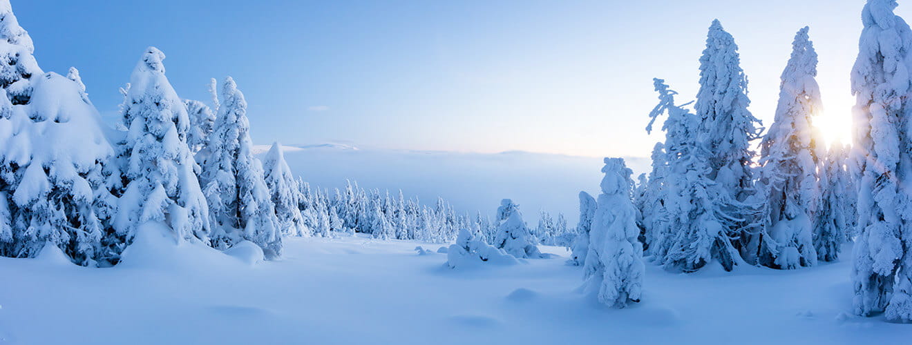 Winterlandschaft und Wald