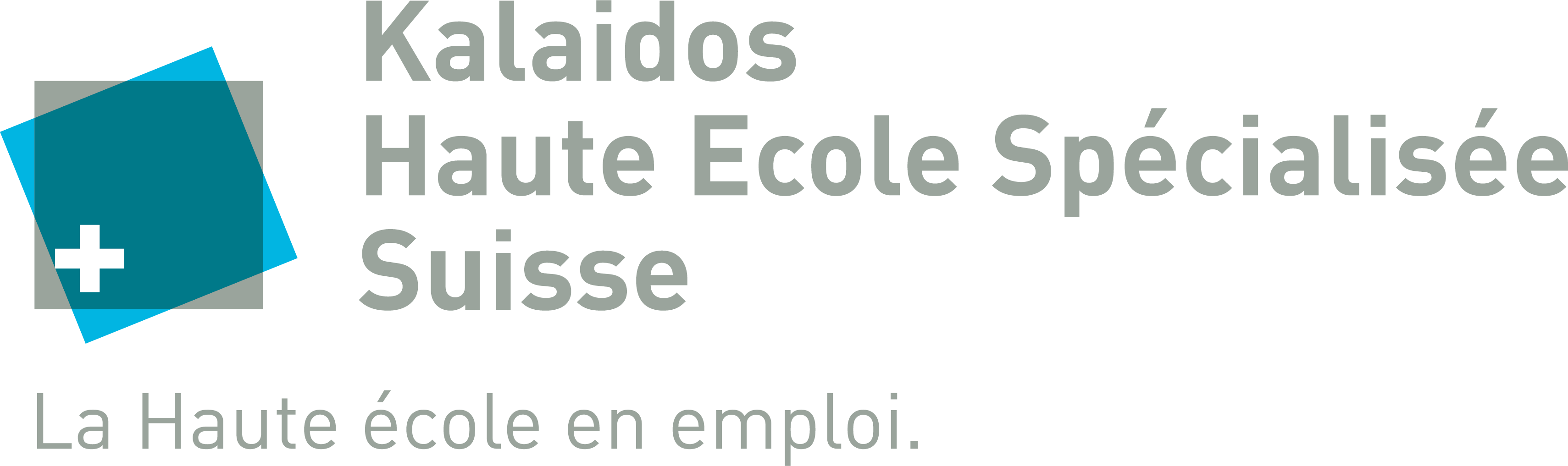 Logo Kalaidos Haute Ecole Spécialisée