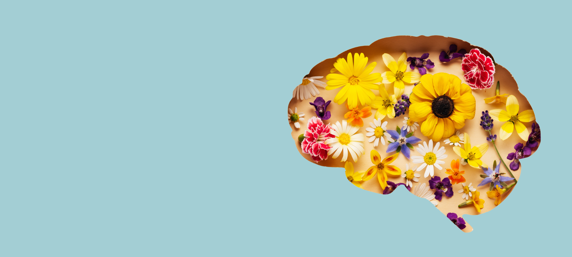 Header Weiterbildungen Angewandte Psychologie und Wirtschaftspsychologie