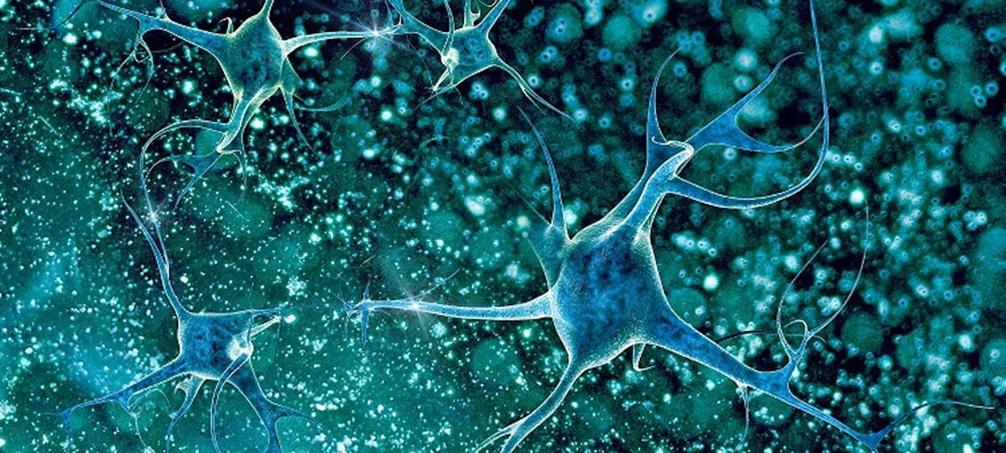 Neuronale Zellen
