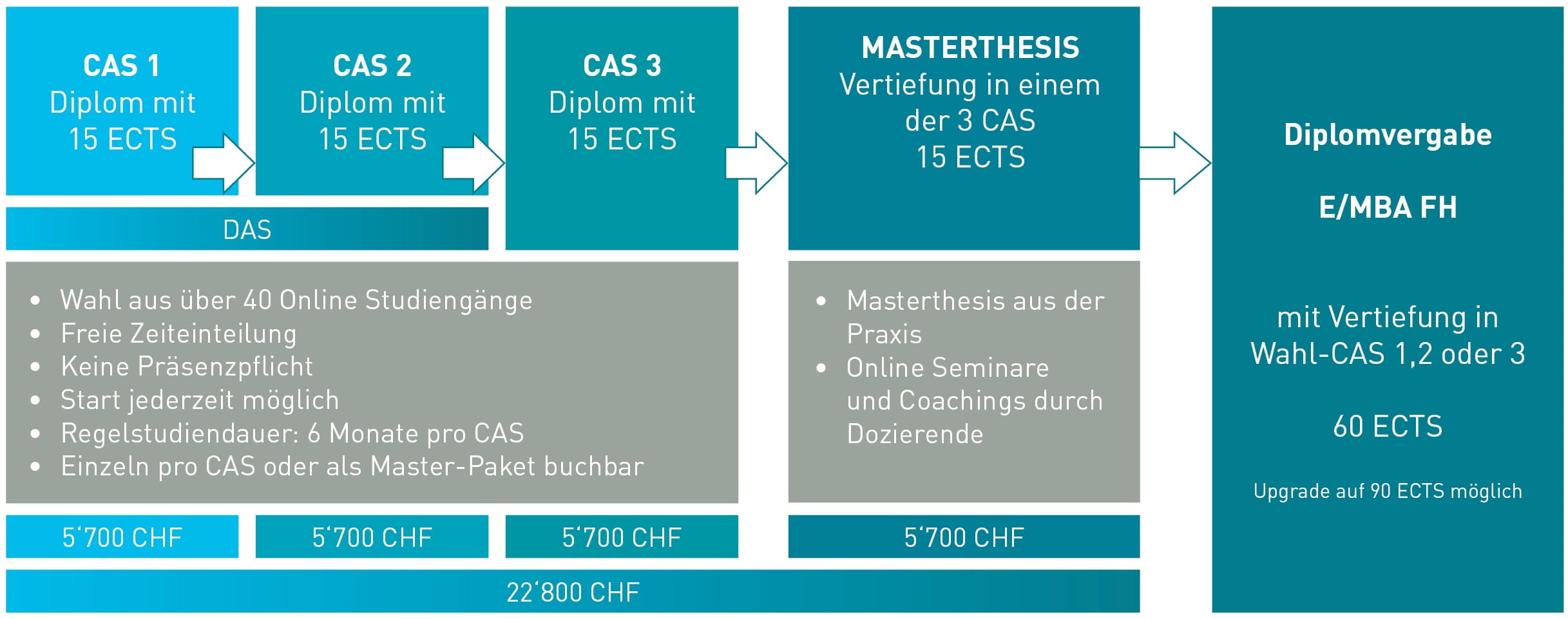 Grafik Aufbau E-MBA Fernstudium