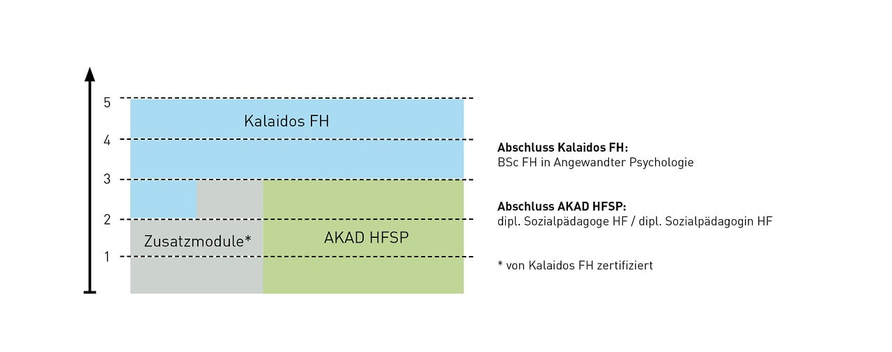 Aufbau BAP plus SozialpädagogIn HF AKAD