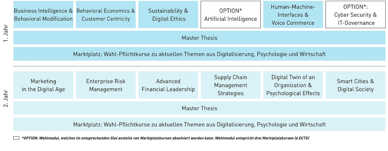 Modultafel MSc Digital Business