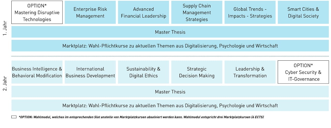 Modultafel MSc International Business Development