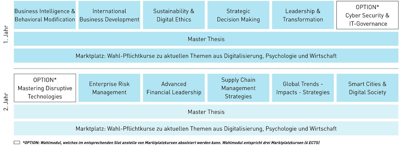 Modultafel MSc International Business Development