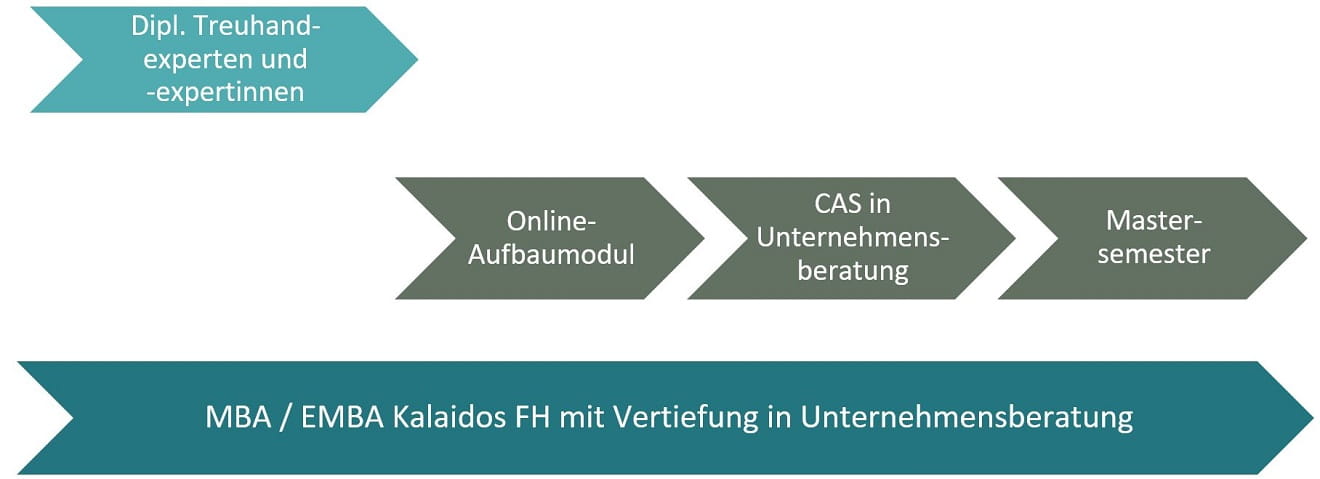 Aufbau MBA / EMBA FH mit Vertiefung in Unternehmensberatung