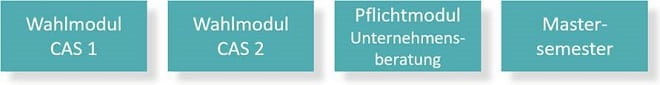 Module E-MBA FH in Unternehmensberatung