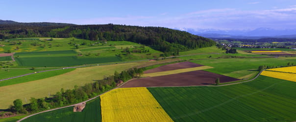 Bild Schweizer Landwirtschaft