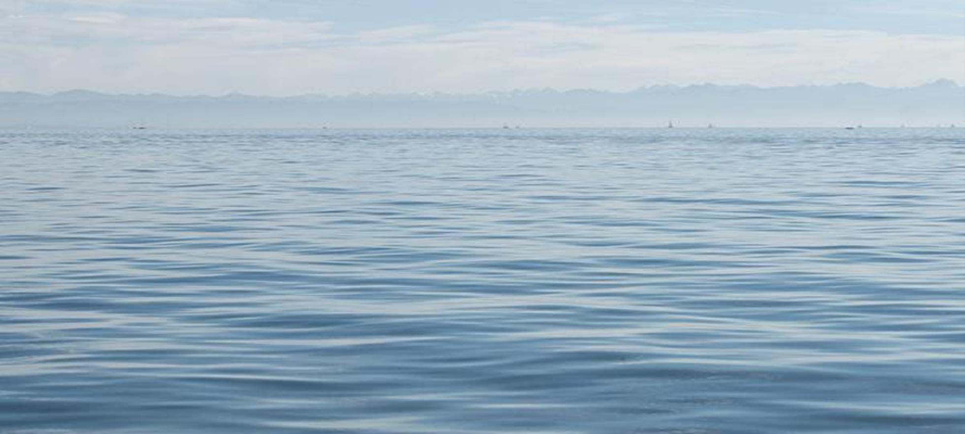 Wasser