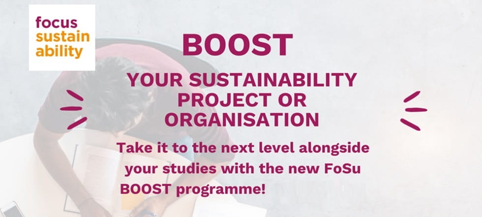 Focus Sustainability Boost Programm 2024