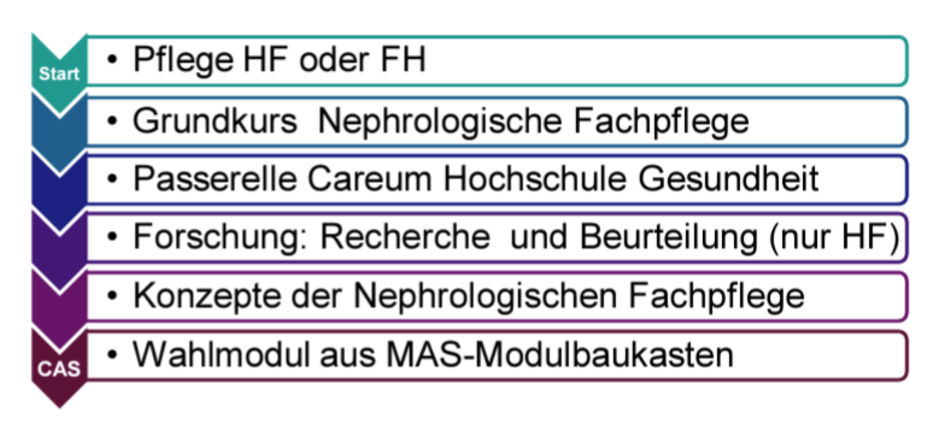 Aufbau des CAS und DAS in Nephrologischer Pflege