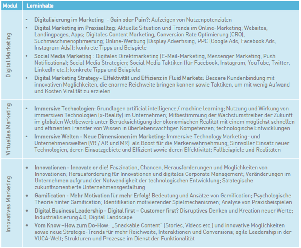 Module Innovative Digital Marketing