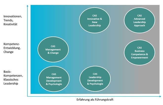 Grafik Leadership CAS