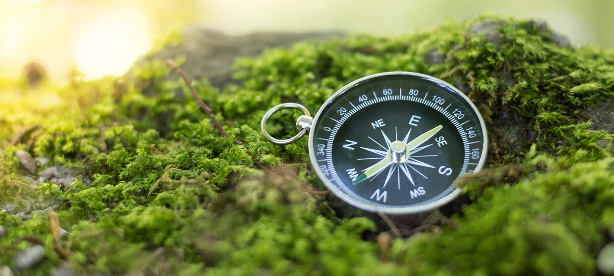 Richtungsweisender Kompass im Moosbeet