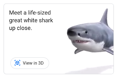 Weisser Hai in 3D 