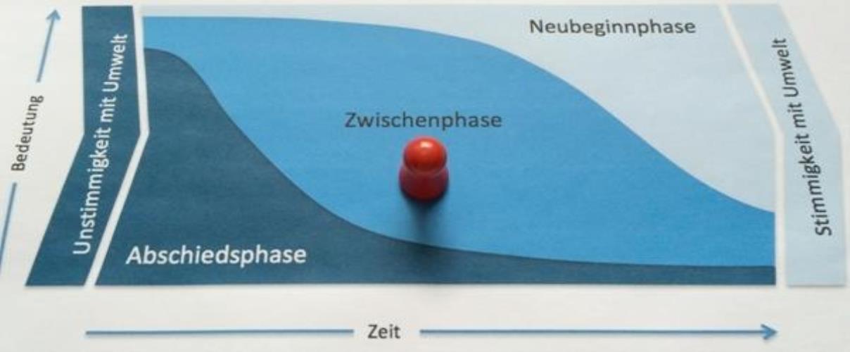 Standortbestimmung im Übergangsprozess