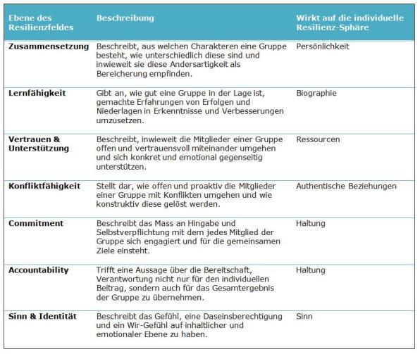 7 Resilienzfelder nach Drath