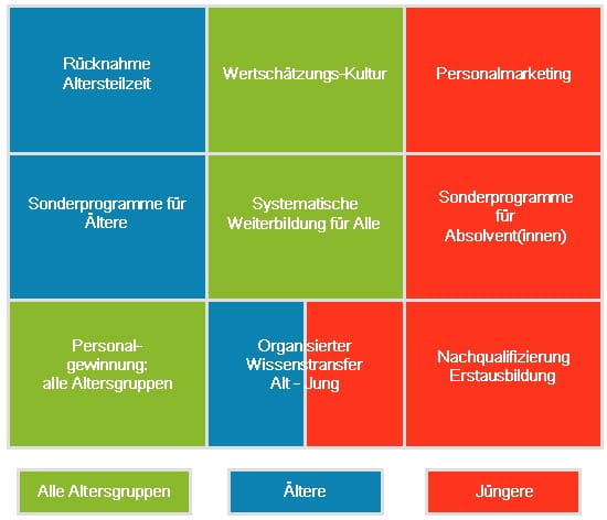 Massnahmen-Mix Demografie-Management