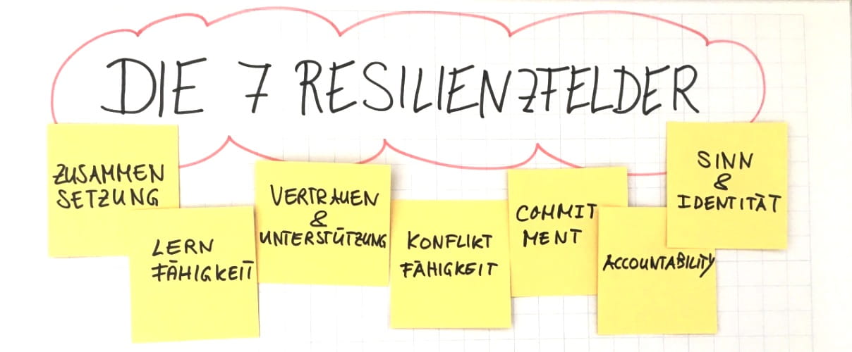 7 Resilienzfelder 