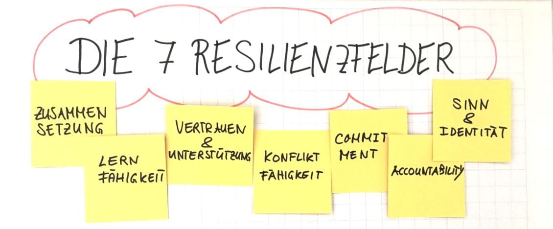 7 Resilienzfelder 