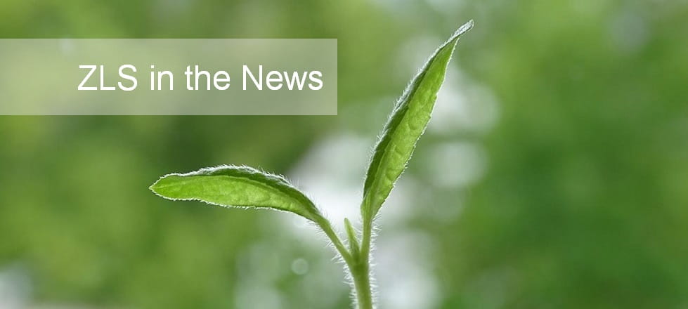 Keimling - ZLS in the News