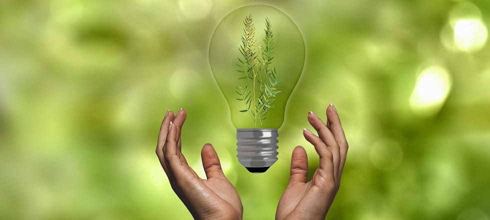 Hände um Glühlampe