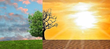 Greenwashing